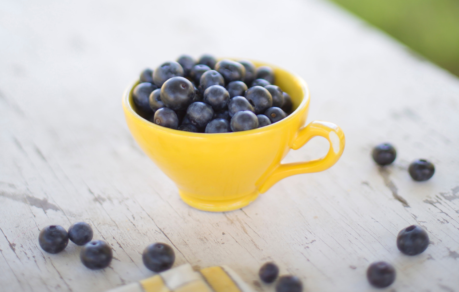 Places to Pick Your Own Blueberries